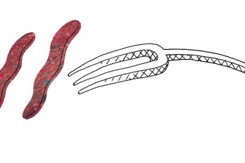 Illustration by Connor Willumsen