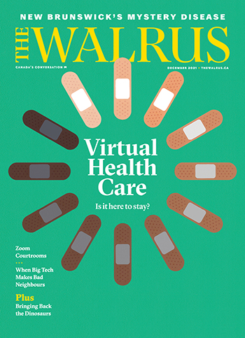 Cover of the Dec issue of The Walrus magazine.