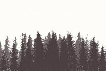 Illustration by thedafkish