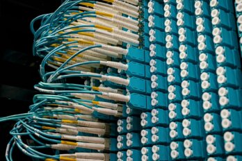 Close-up photo of blue cables plugged into server ports.