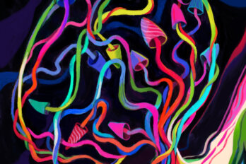 An illustration of multi-coloured mushrooms swirling against a dark background