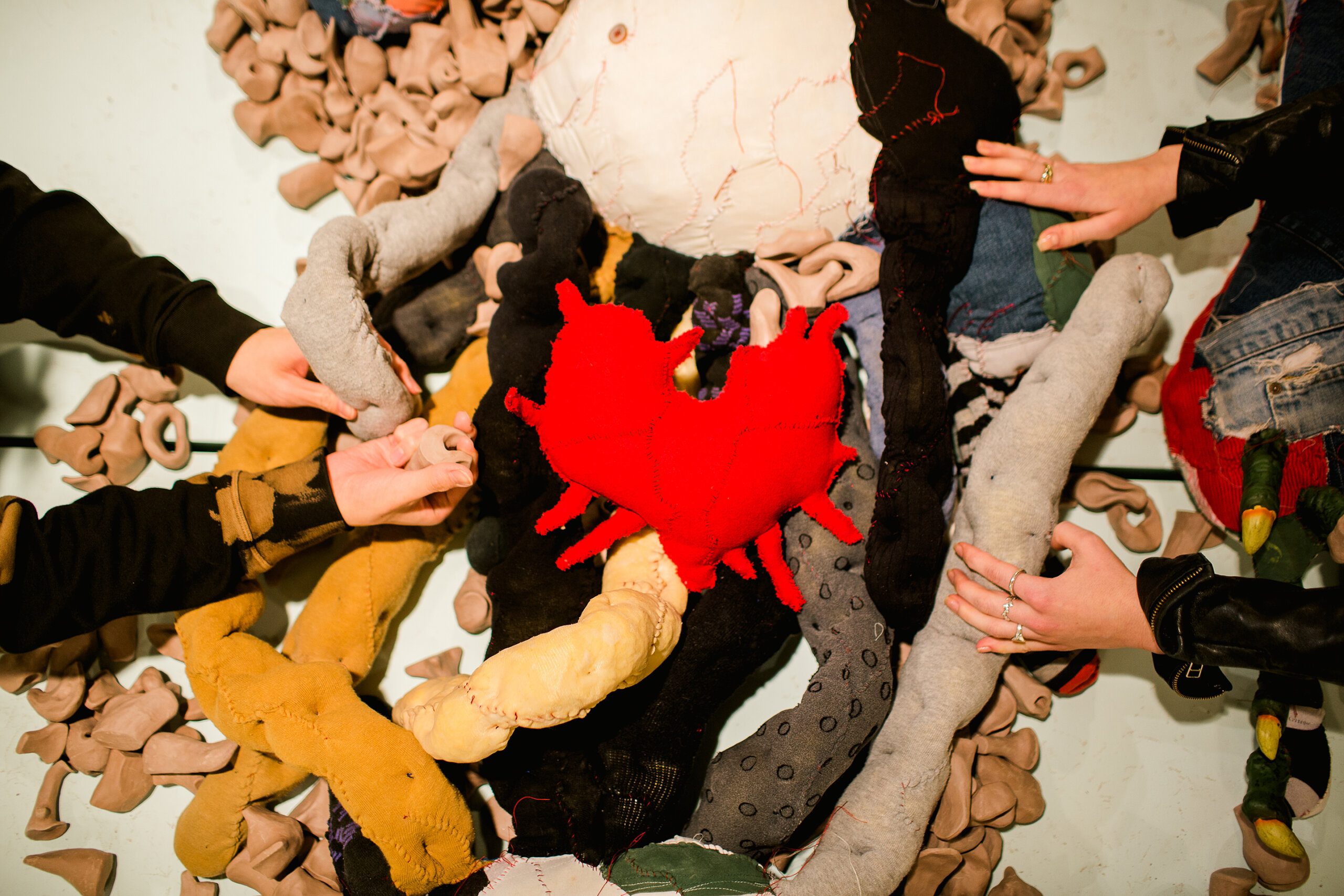 Body Farm image