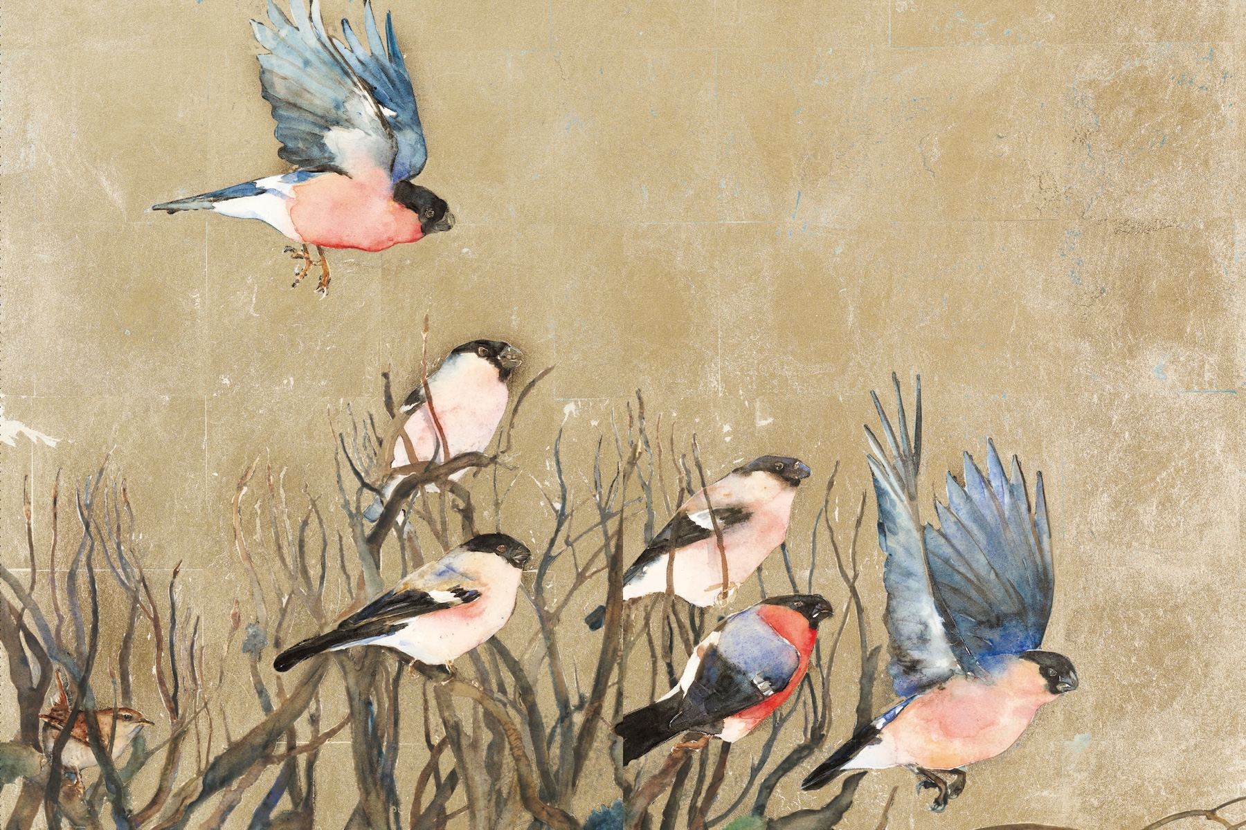 Billions of Birds Have Vanished in a Generation | The Walrus