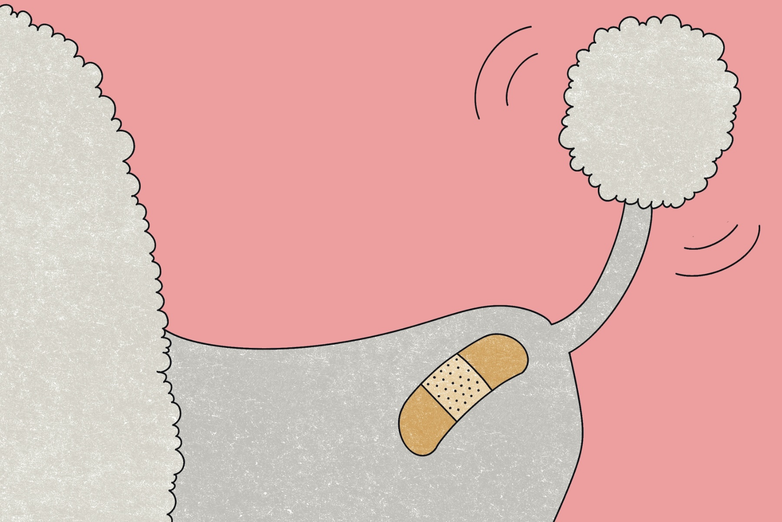 Illustration of a poodle's backside with a bandage on the hip and a missing, bandaged paw on a pink background.