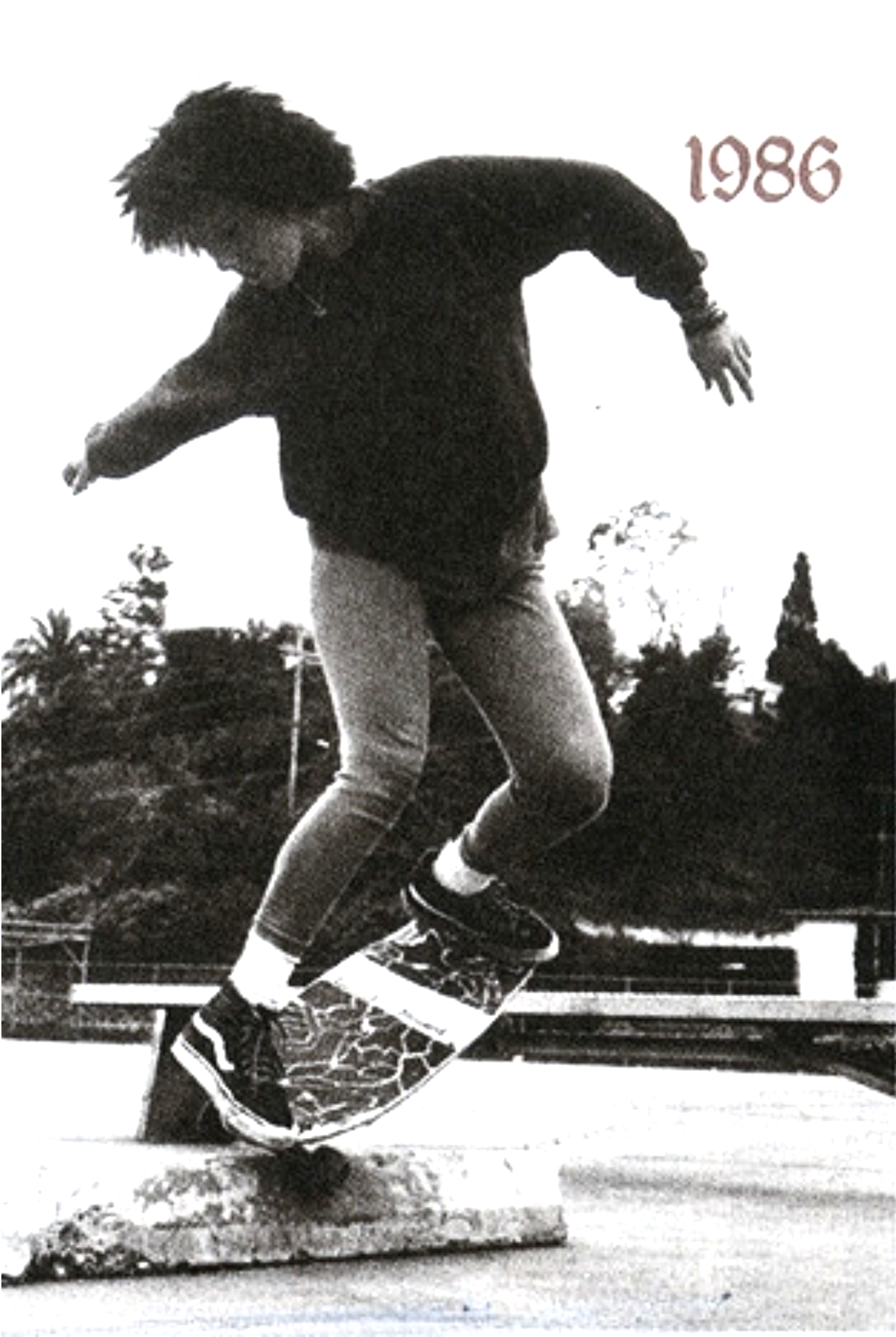 KZ Zapata (she/they) is balanced on the nose of their skateboard on a parking barrier. Zapata is a person of colour wearing a dark sweatshirt, tight pants, and high-top Vans shoes.