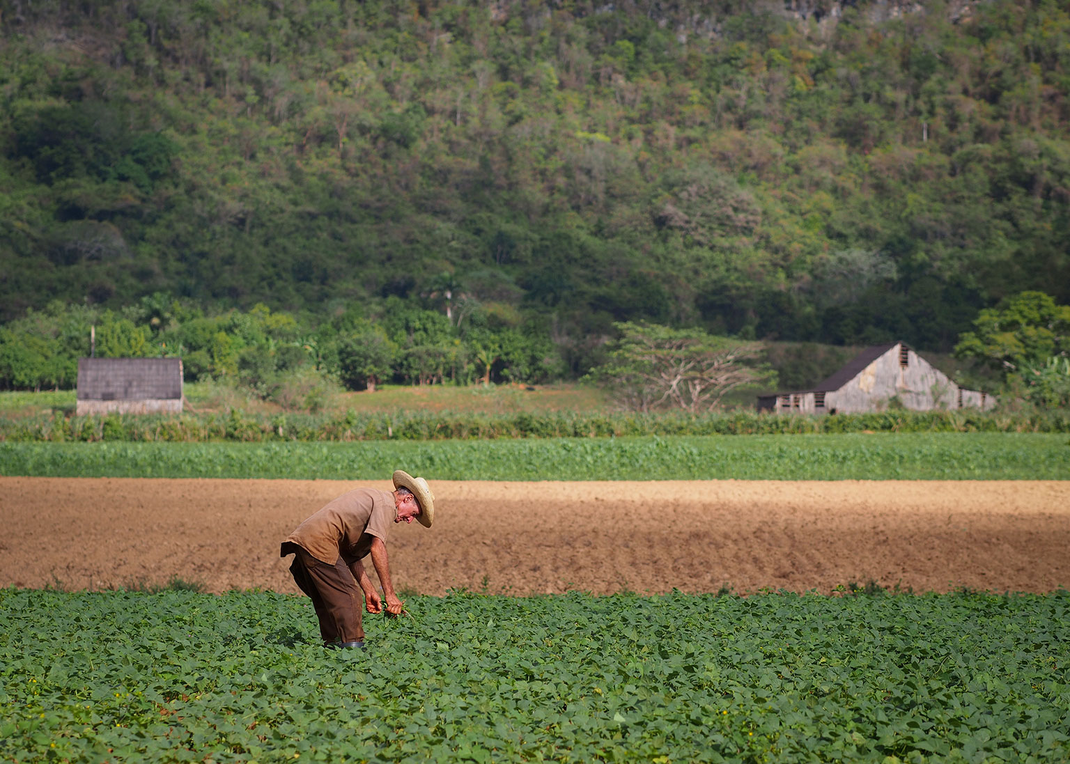 Photograph of Cuba by Harley Rustad