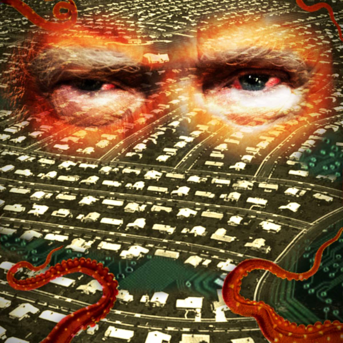 The Internet Has Become Too American to Trust | The Walrus