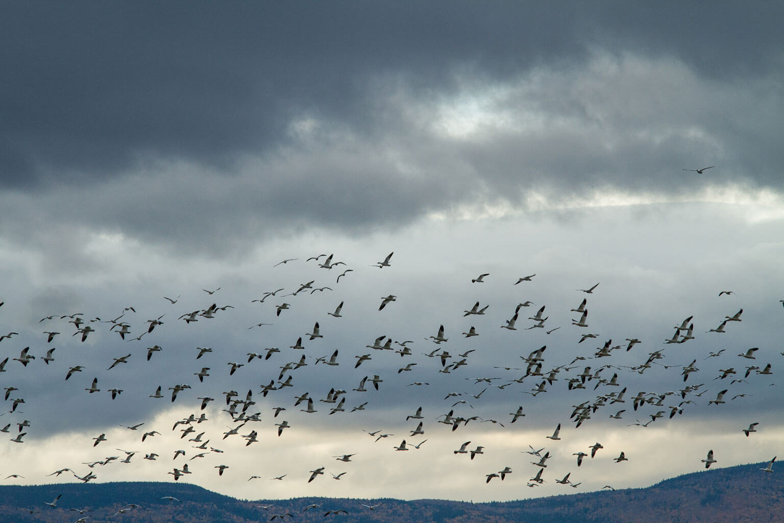 Photograph by Valerian Mazataud