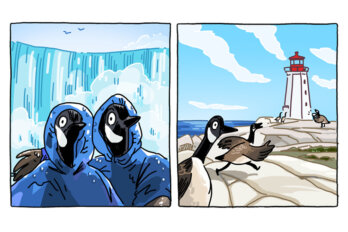 An illustration of Canadian geese vacationing in Niagara Falls and Peggy's Cove.