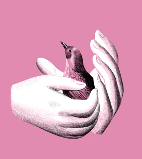 Illustration of a small bird sitting in a pair of hands, which are loosely cupped around it. The background is pink.