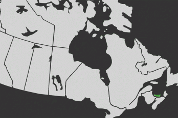 An animated map of Canada is filled in with Green Party logo graphics as a simulated green wave moves west from PEI.