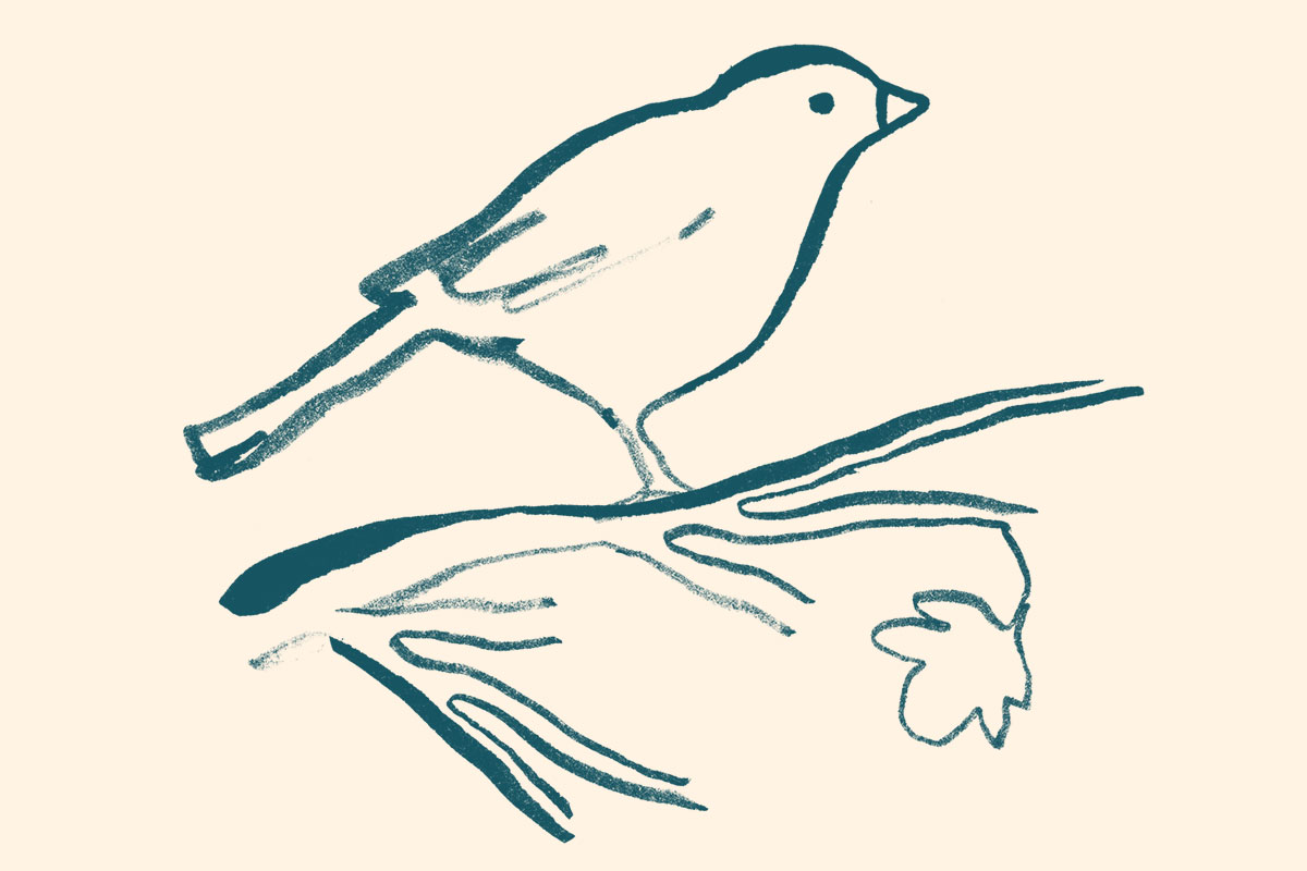 Simple line drawing of a bird sitting on a branch with a single leaf.