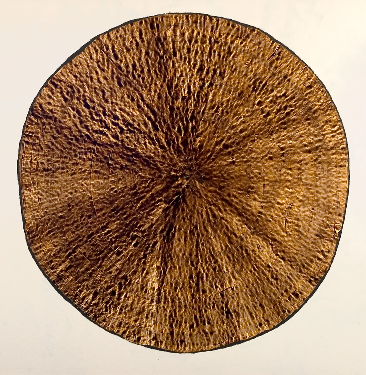 Painting on a beige background of an imperfect circle filled in with a brown texture radiating from the centre.