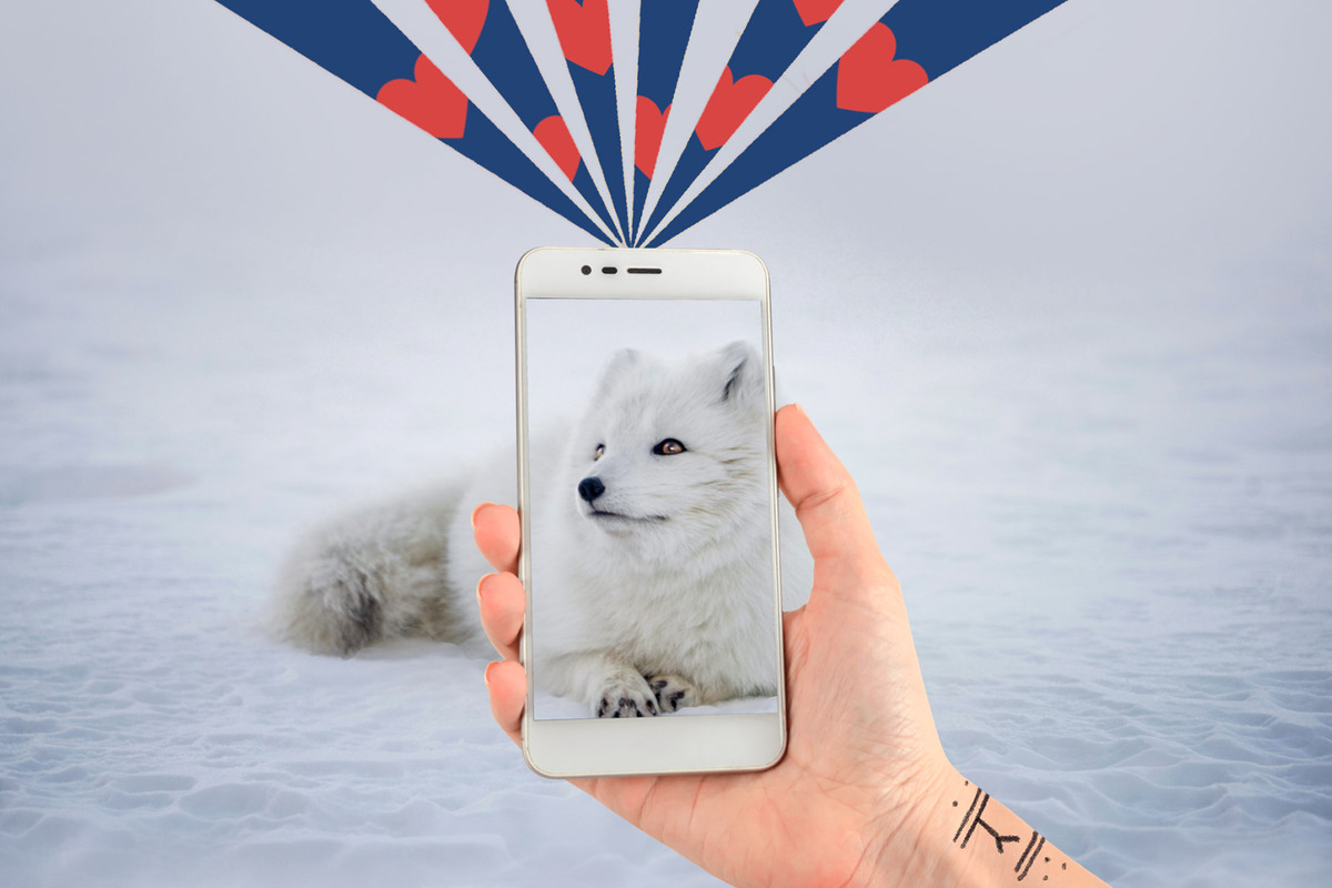 A digital collage featuring a hand holding up a smartphone to photograph an Arctic. Dark blue rays and red hearts are shining out of the phone.