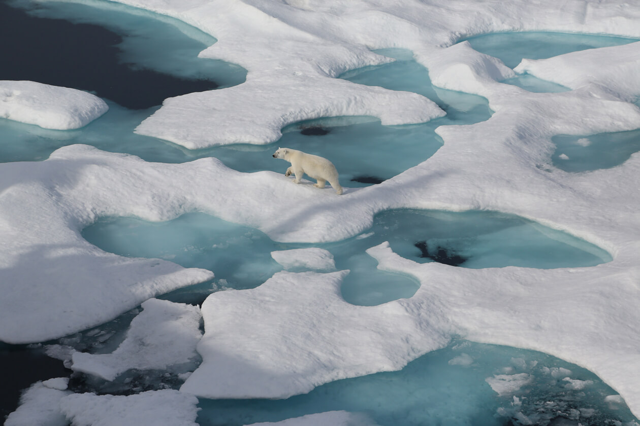 Hunting Through the Ice', Saggiassie Ragee - Inuit Art