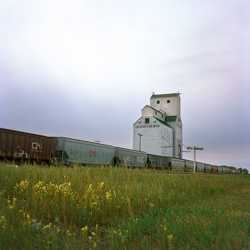 Photograph of the landscape of Delmas, Saskatchewan. Under a cloudy sky, a grain elevator and train stand in the middle of a field of yellow flowers.