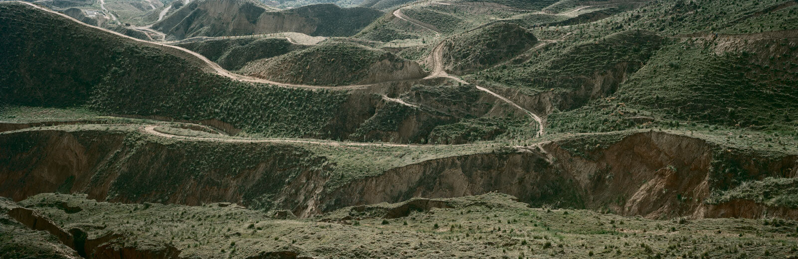 A distant shot of hillsides in northwestern China, which are covered with new saplings.