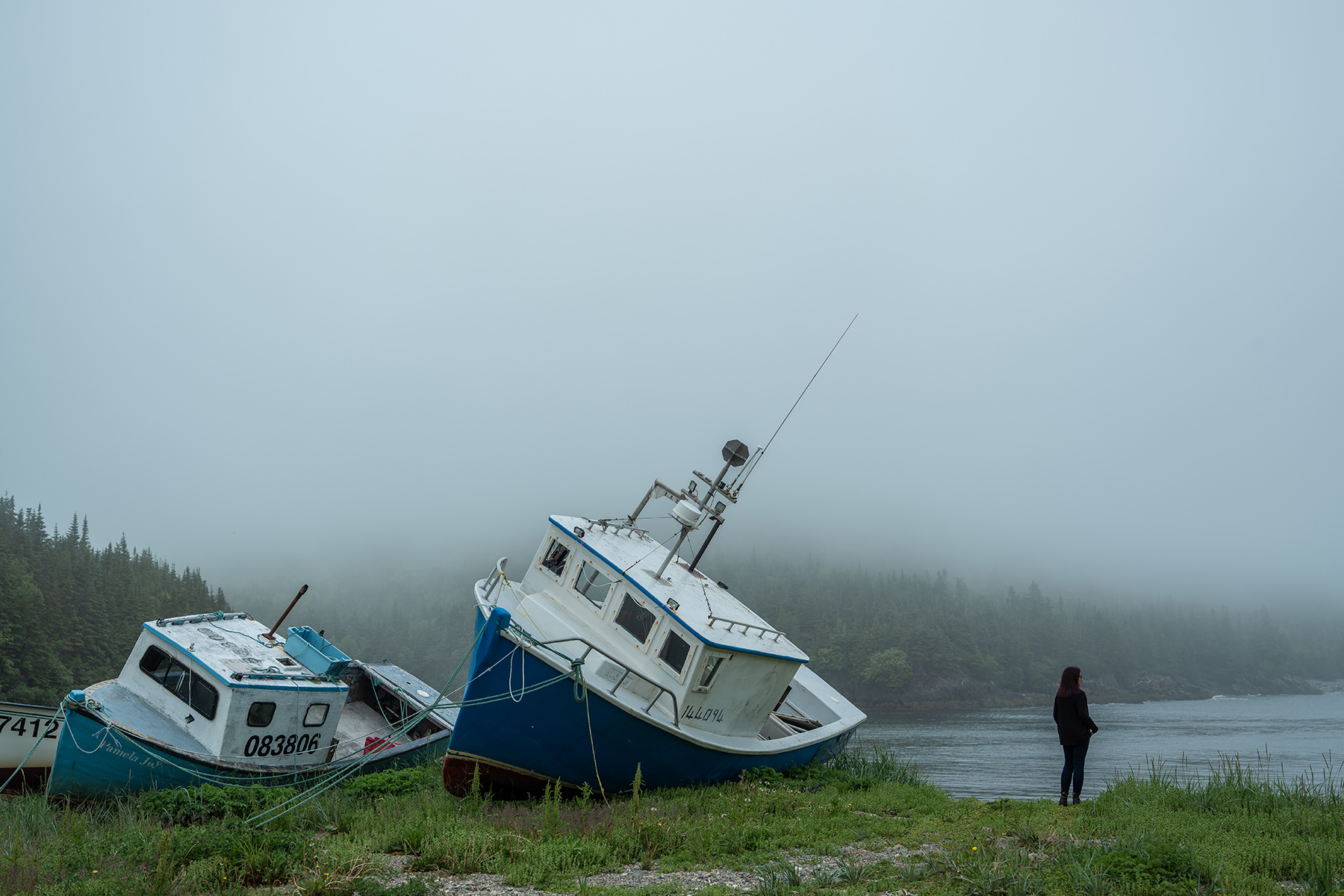 How a Sexual Assault Case in St. John's Exposed a Police Force's