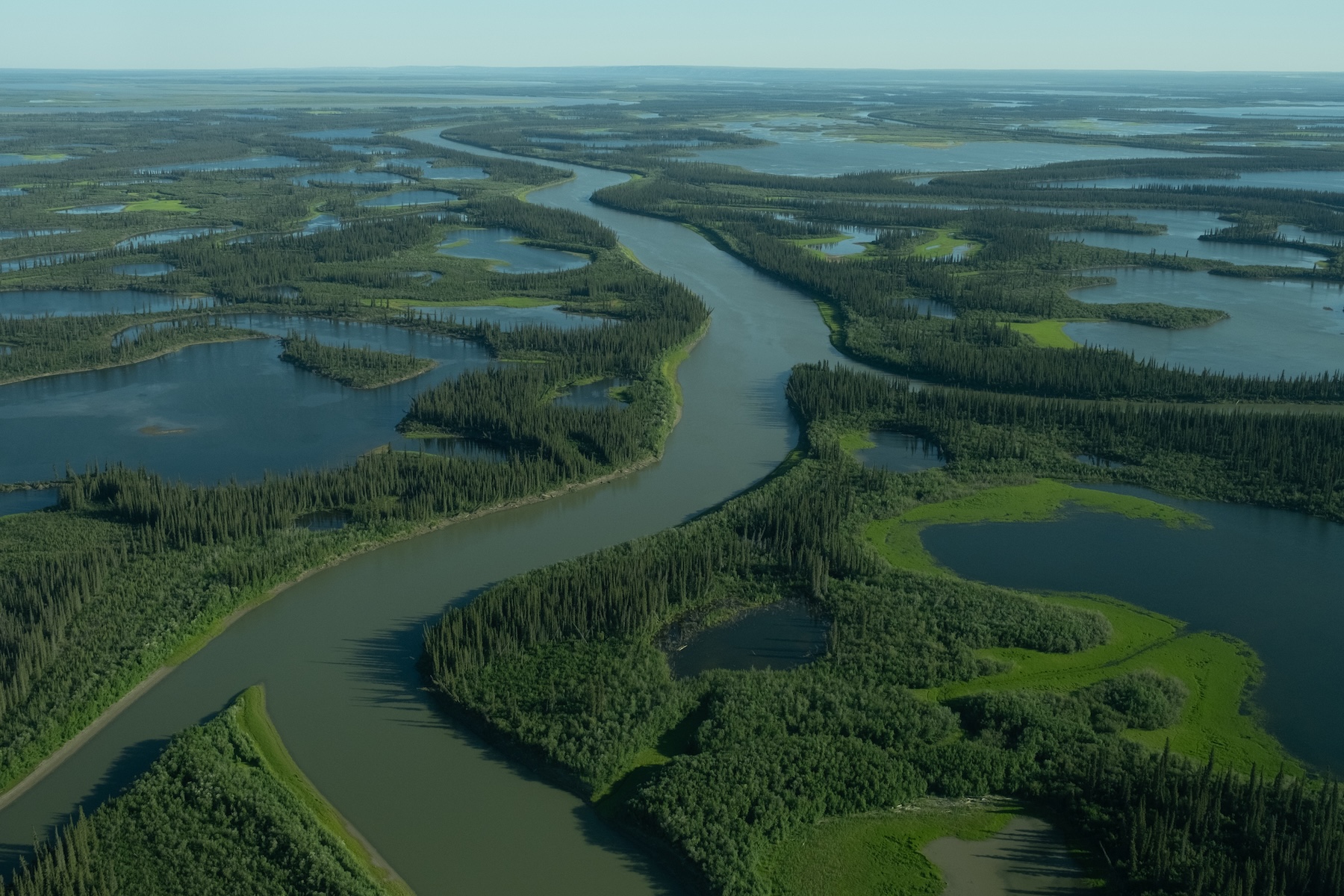Aerial photo of a sprawling river system cutting through a marshy, green landscape.