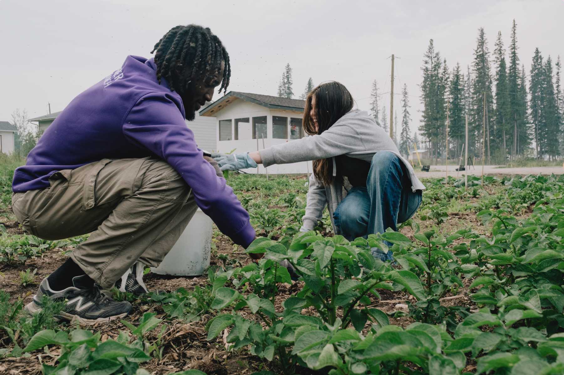 Photo of two people working in a garden.