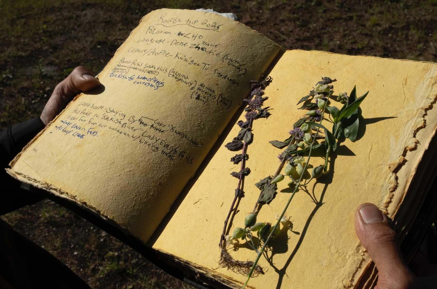 Photo of an open notebook with writing on the left page and plants on the right page.
