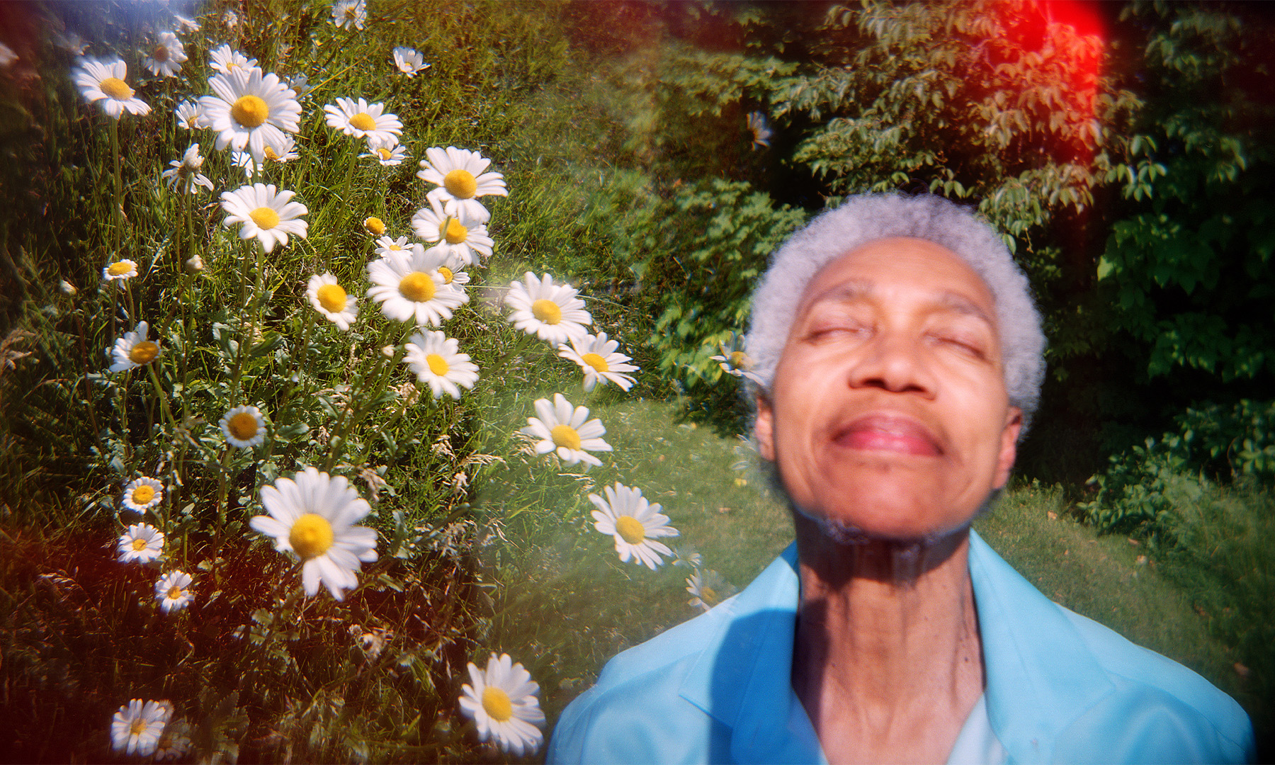 A photo of Beverly Glenn-Copeland looking up the sky with his eyes closed blended over a photo of daisies in a field.