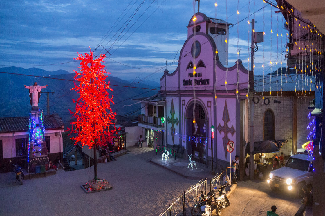 An artificial maple tree adorns Marmato's town square.