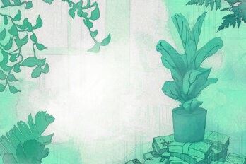 Illustration of green houseplants.
