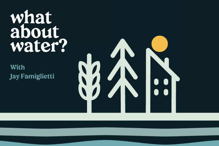 What About Water? logo.