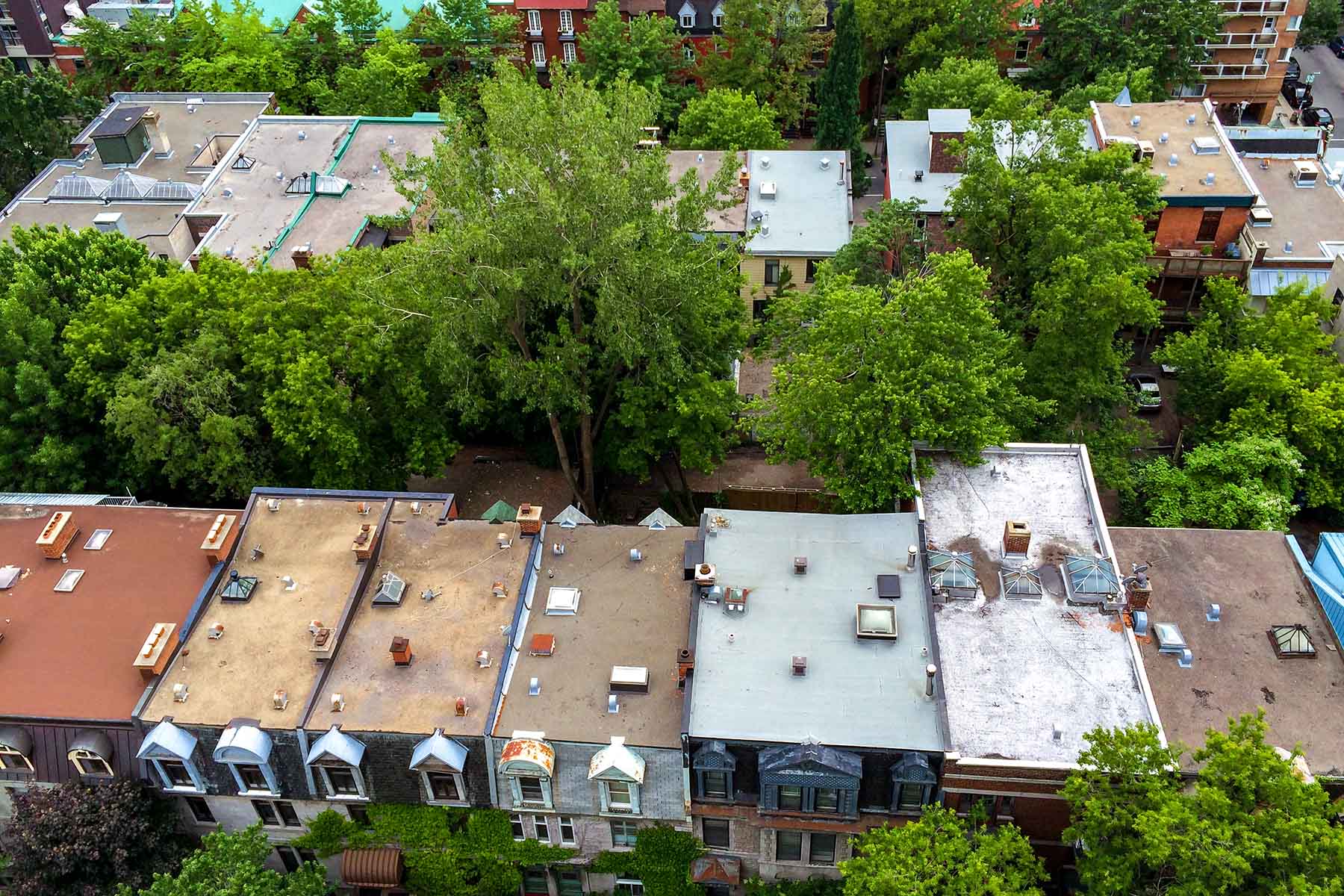An aerial view on Montreal, looking down on lush trees and the rooves of buildings.