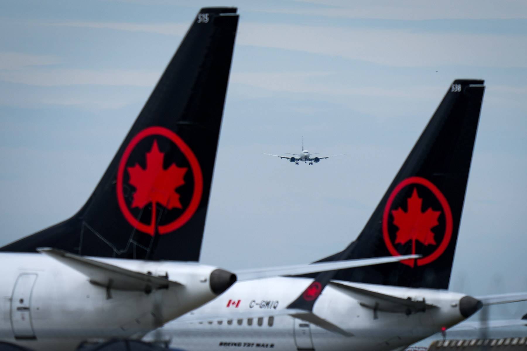 Air Canada Flight Attendants Faced Down Ottawa-and Won | The Walrus