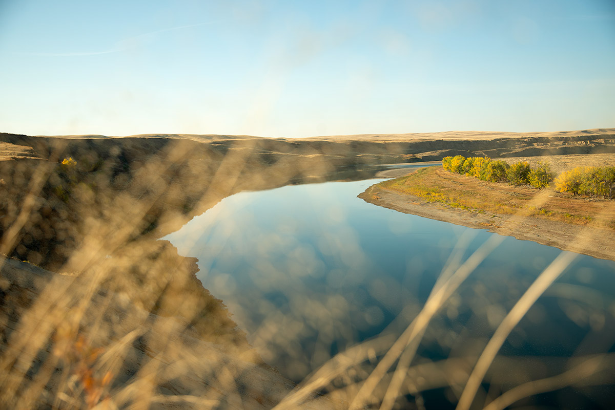 Photo of the Saskatchewan River winding through a hilly landscape of yellow fields