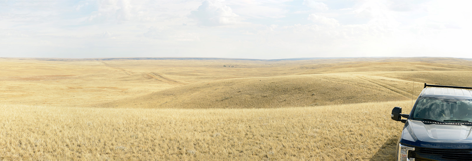 Panoramic photo of a rolling landscape with yellow fields under a blue sky. A truck is parked on the far right
