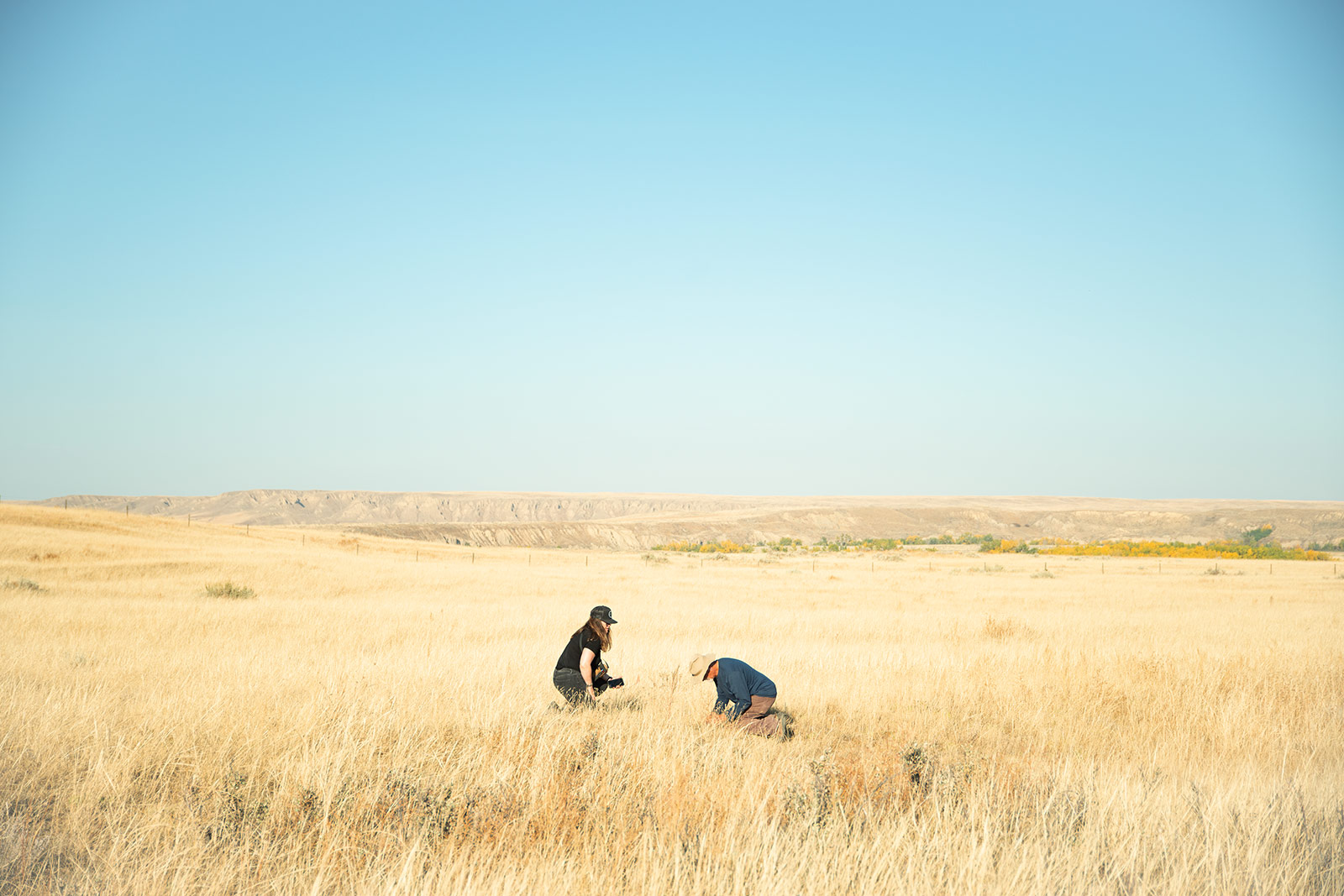 Photo of Amy Moores and Ron Linowski crouching down in a yellow field under a clear blue sky