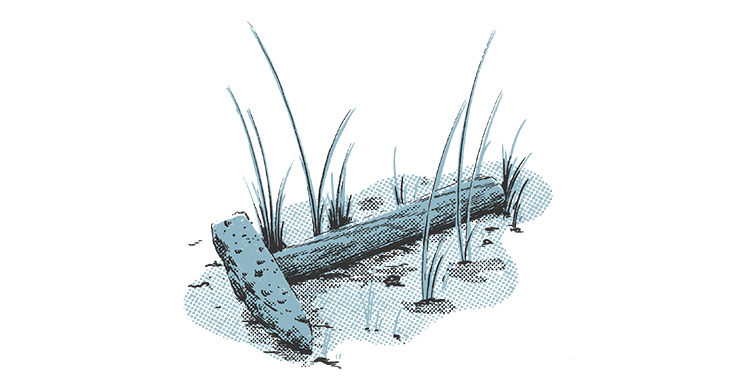 Illustration of a hammer on the ground with tall grass growing around it