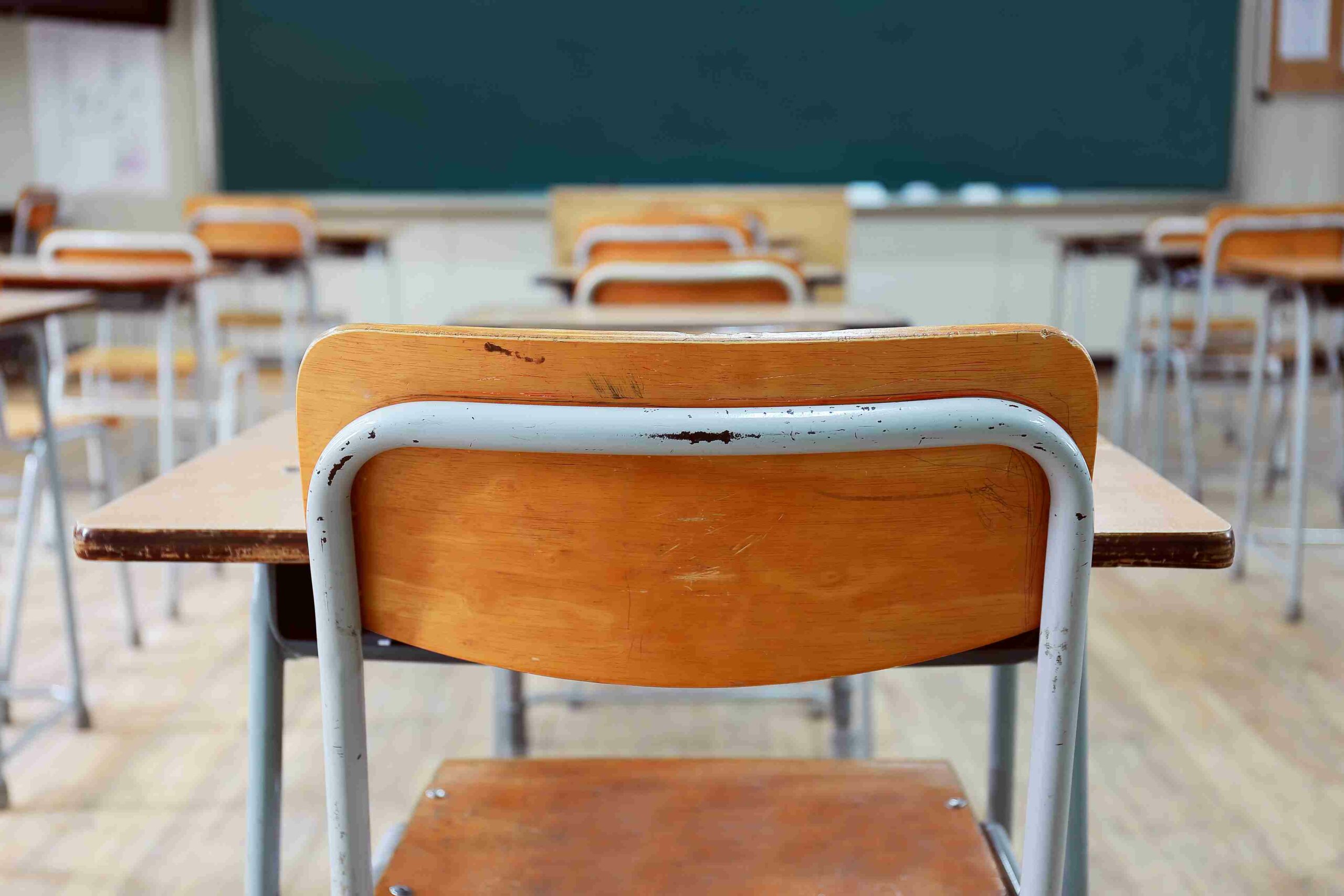 I'm a School Trustee, and Doug Ford Wants to Eliminate My Job | The Walrus