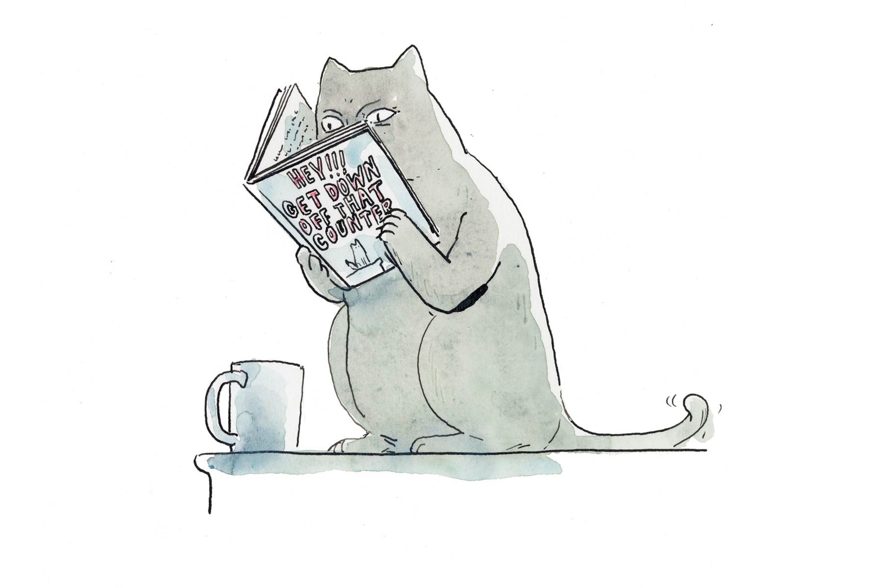 thewalrus.ca - Carmine Starnino - While Others Downsize Literary Coverage into Oblivion, We're Launching a Books Section