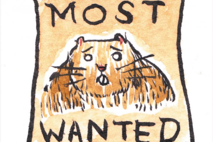 KateBeatonSpot3
