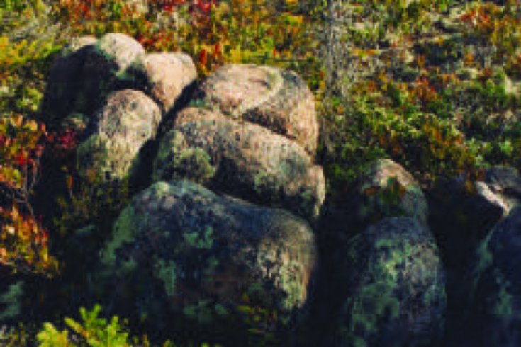 SUP_FOB_FN_Nova Scotia01