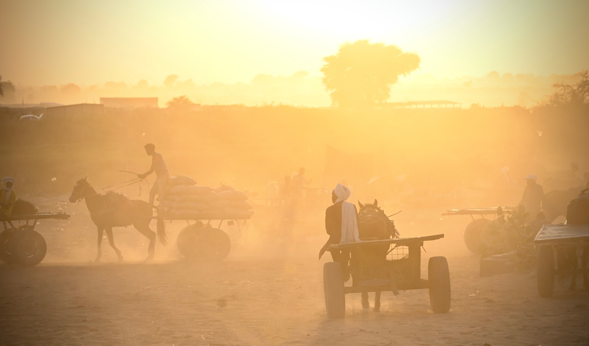 The Most Accurately Predicted Genocide in History | The Walrus