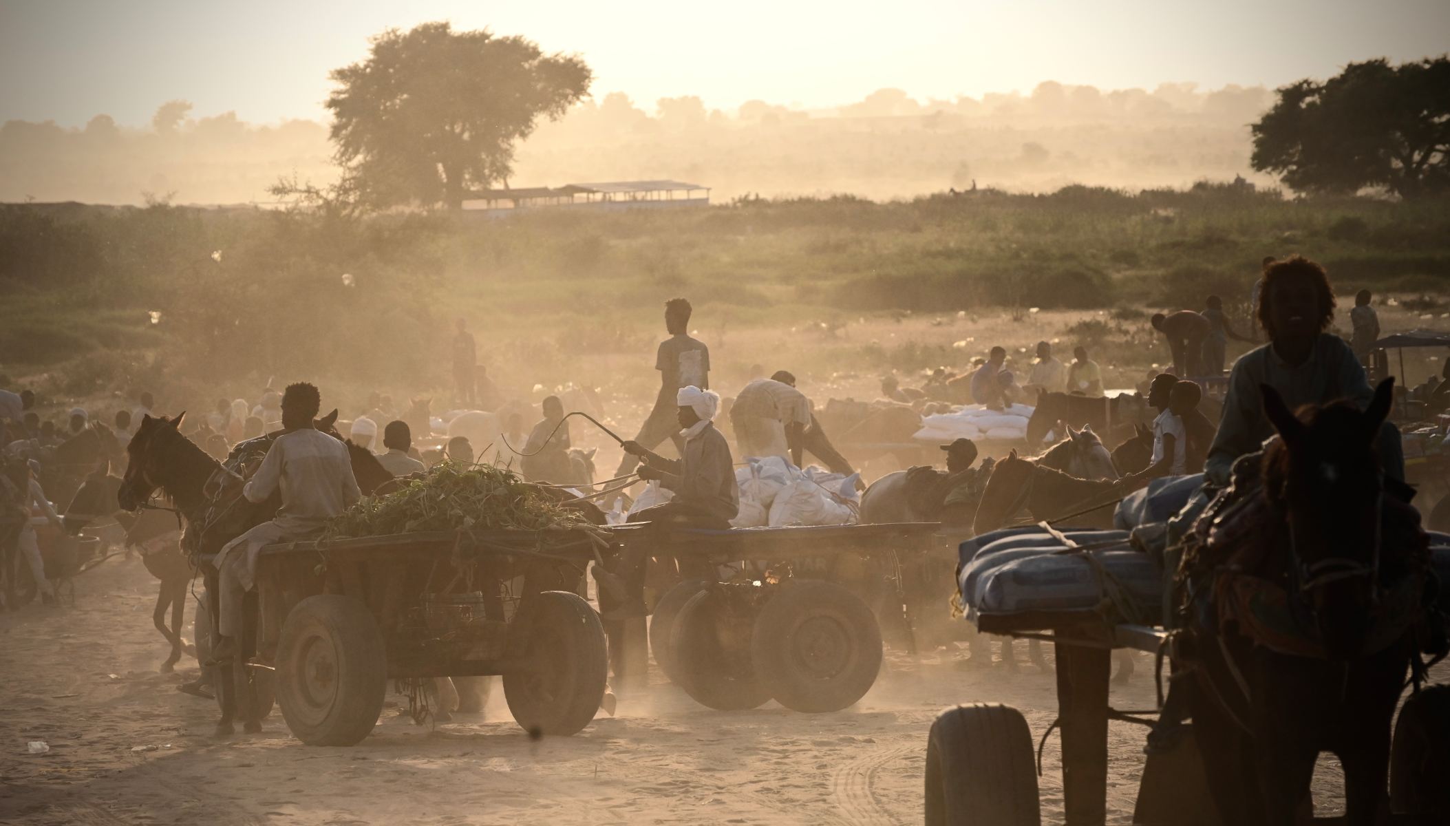 Photo of men in carts being pulled by horses.