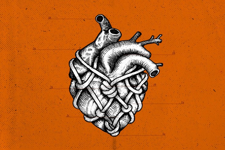 Illustration by Dan Bushnell