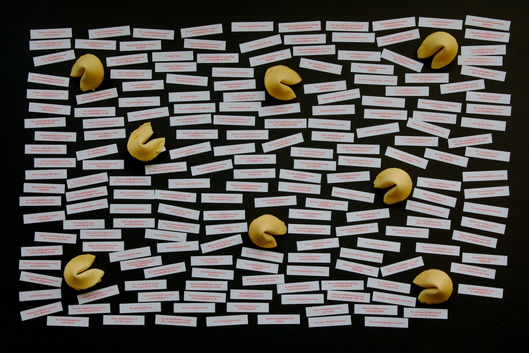 When I Heard a Montreal Fortune Cookie Factory Was Closing, I Needed to Get Inside | The Walrus