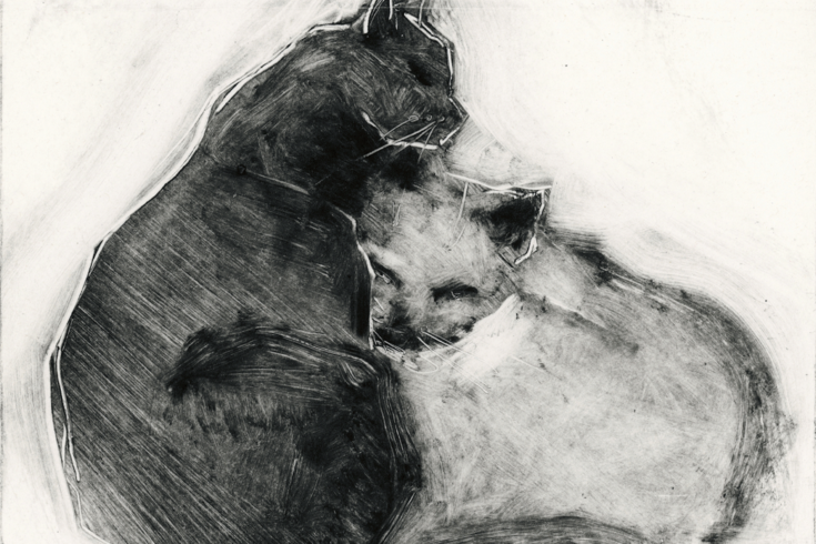 Black and white illustration of a black cat and a grey cat cuddling.