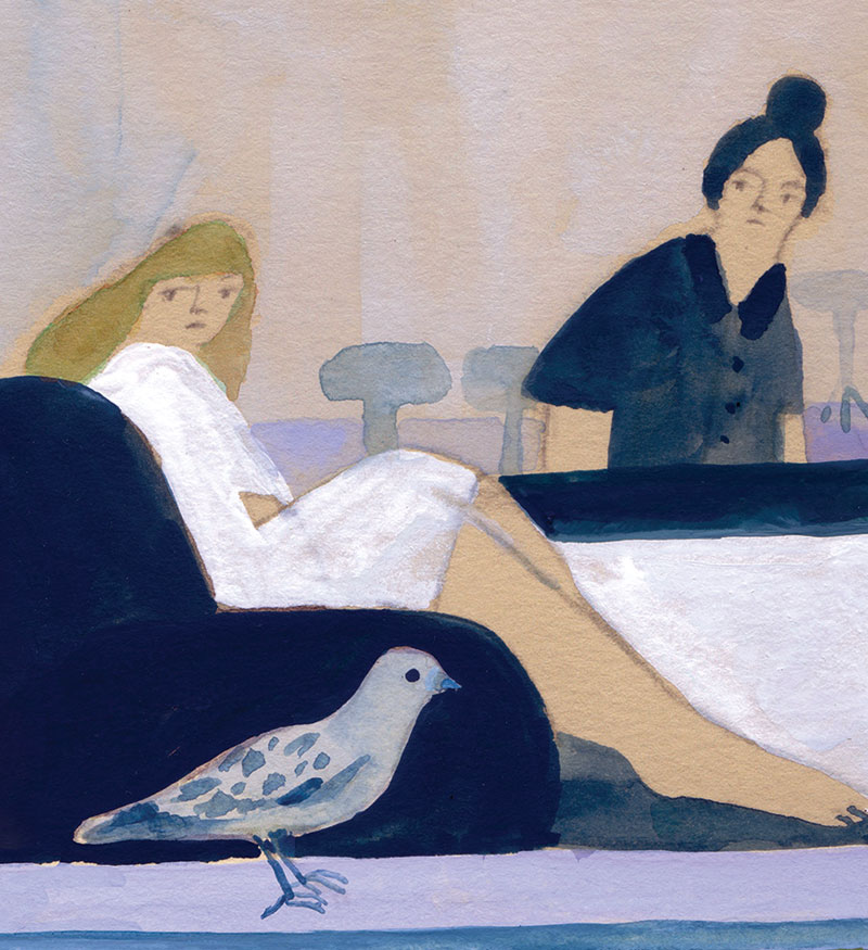 Illustration of two women in a salon turning to look at a pigeon sitting on the windowsill.