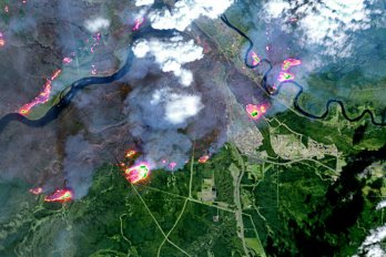 Courtesy of NASA Earth Observatory image by Joshua Stevens, using Landsat data from the U.S. Geological Survey