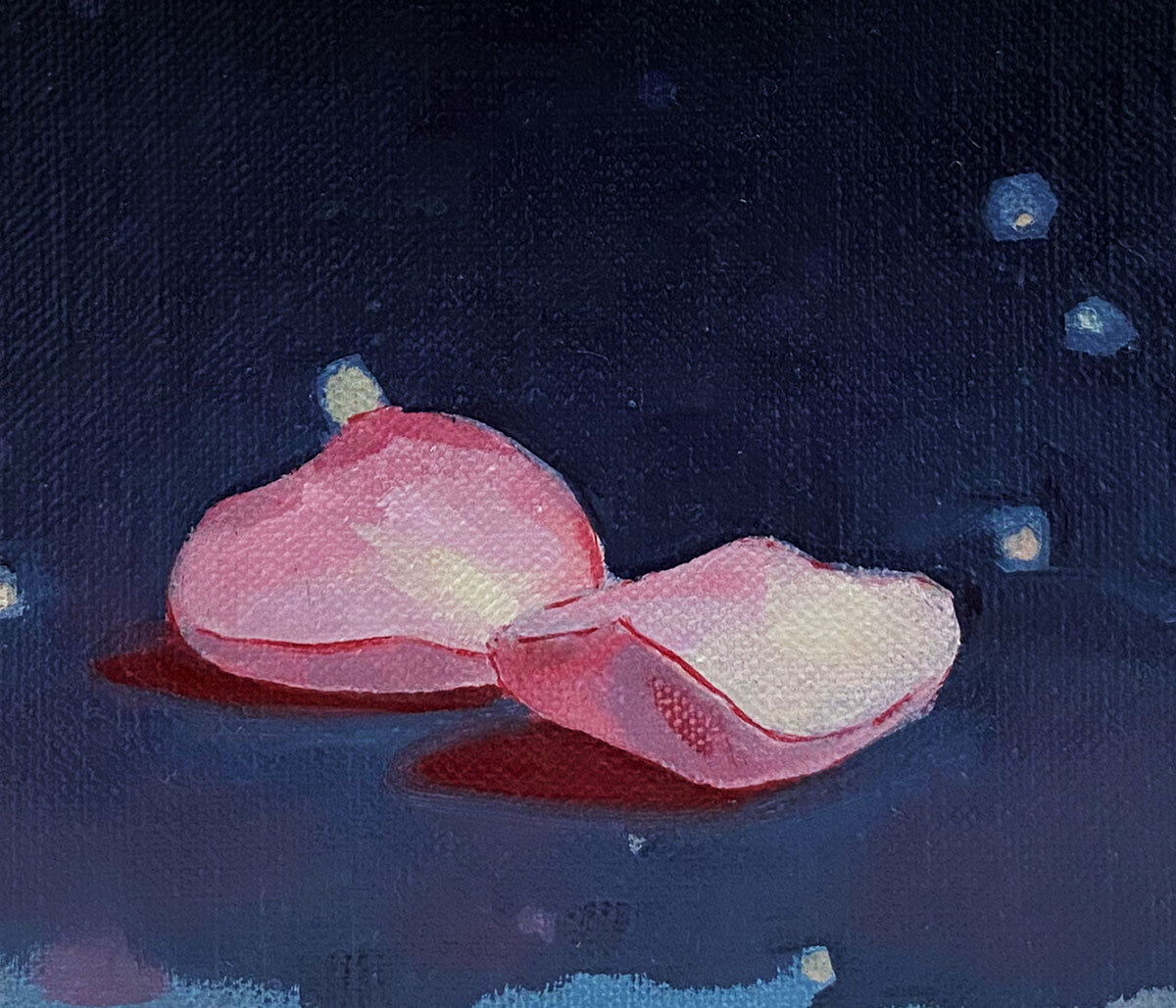 Pink flower petals scattered against a dark blue backdrop.