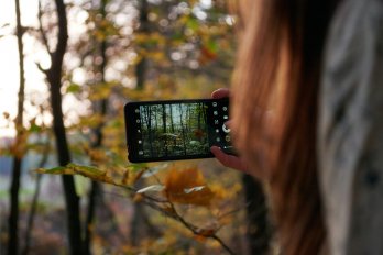 Over-the-shoulder photo of a woman holding a smartphone to take a picture of the autumnal forest around her.