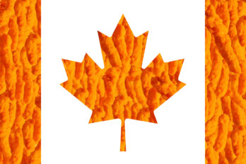 A photo illustration of the Canadian flag. The traditionally red parts are made up of orange Cheezies.