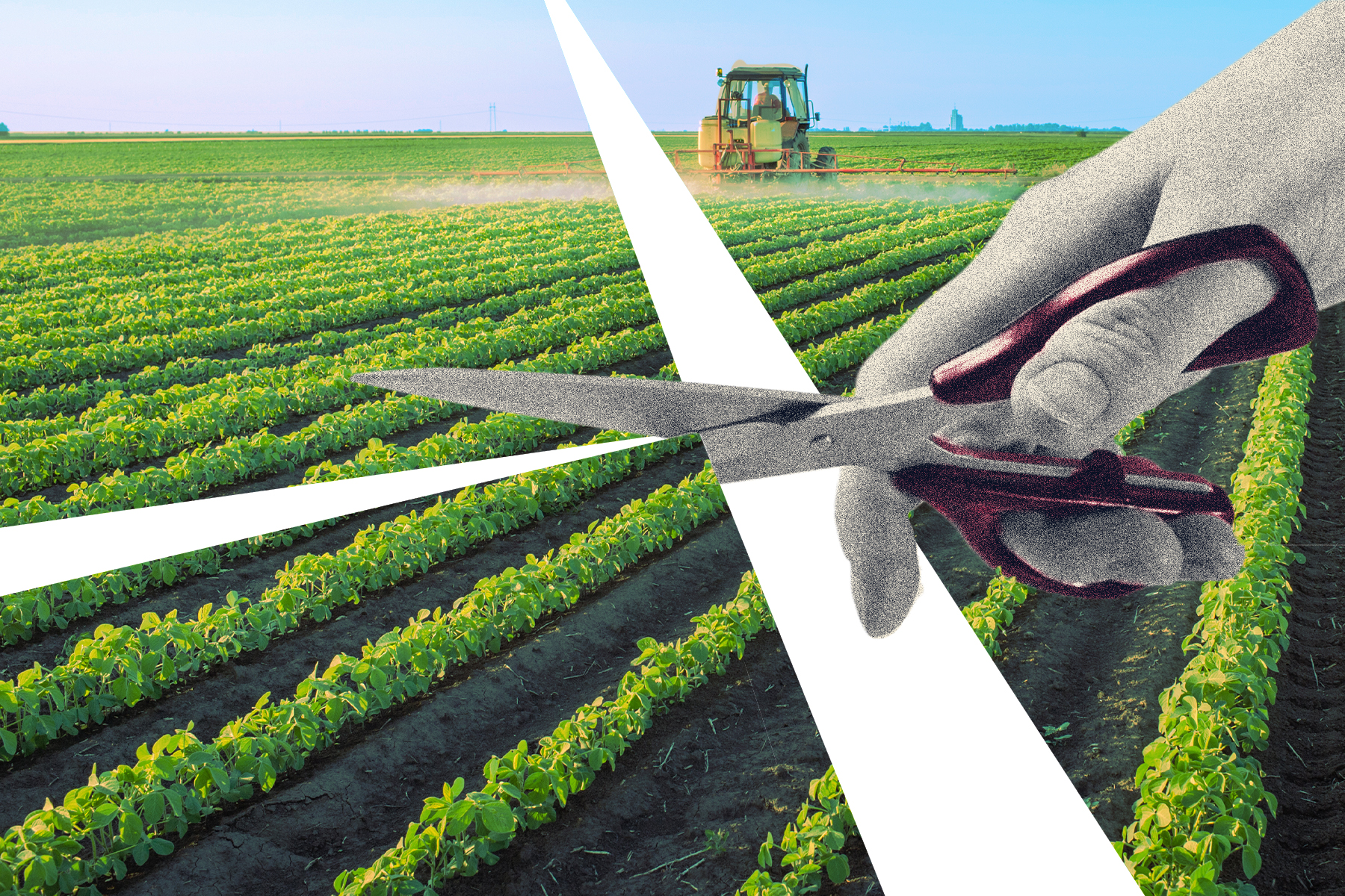 Ottawa Is Shutting Down Seven Agriculture Labs. Farmers Will Pay the Price | The Walrus